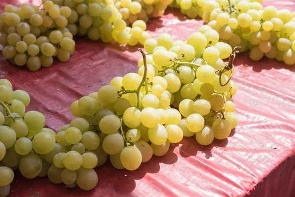 White Grapes Catania Market — Stock Photo, Image