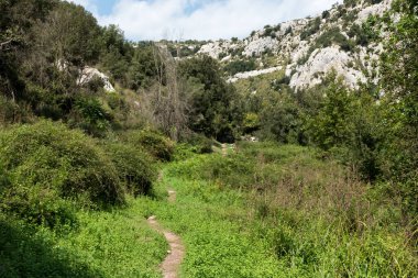 Sicilya tepelerinde yol