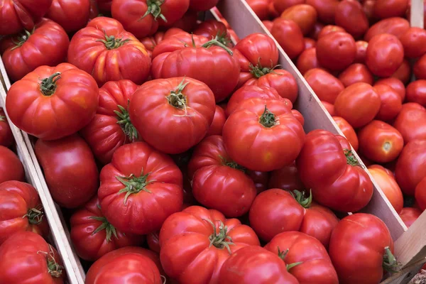 Tomatoes Market Bench — Stock Photo, Image