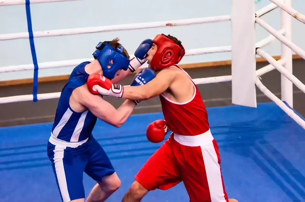 Orenburg, Russia - from April 29 to May 2, 2015 year: Boys boxers compete — Stock Photo, Image