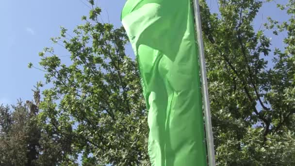 Kleurrijke vlaggen zijn zwaaiend in de wind — Stockvideo