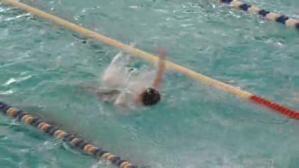 Оренбург, Росія - 21 квітня 2016: хлопчики конкурувати з плавання — стокове відео