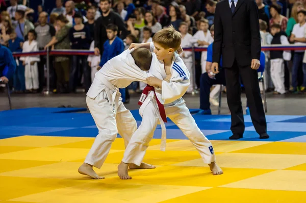 Orenburg, Russia - 16 April 2016: Boys compete in Judo — Stock Photo, Image