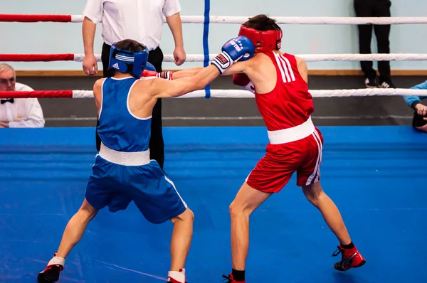 Orenburg, Rusia - 28 de abril de 2016: Los boxeadores masculinos compiten — Foto de Stock