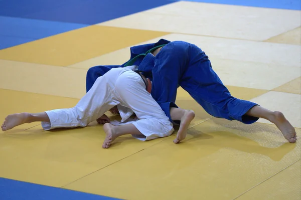 Due judoka sul tatami . — Foto Stock