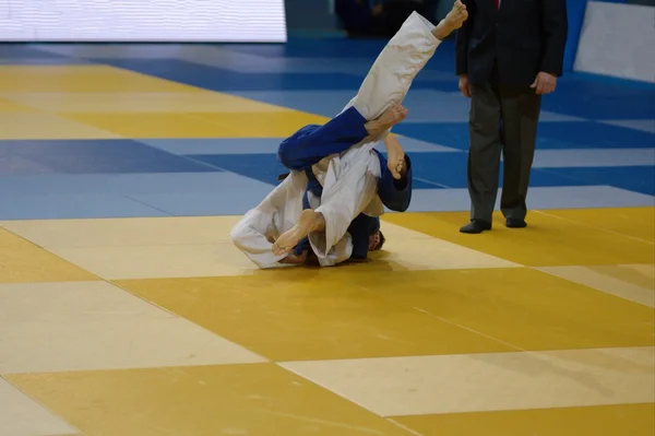 Two judoka on the tatami. — Stock Photo, Image