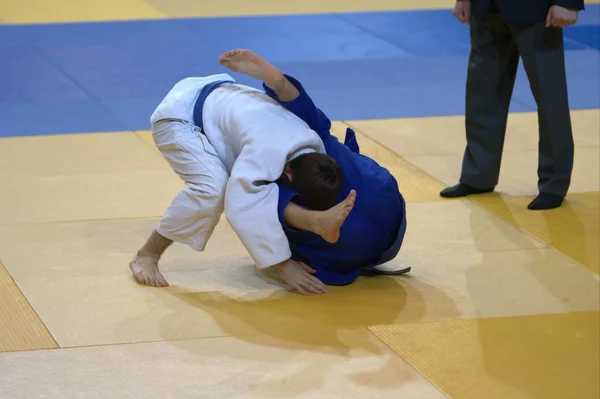 Dos judoka en el tatami . —  Fotos de Stock