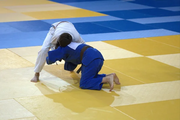 Dois judoca no tatami . — Fotografia de Stock