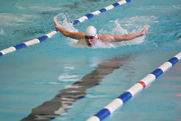 Orenburg, Russia - 13 November 2016: Boys compete in swimming Butterfly style — Stock Photo, Image