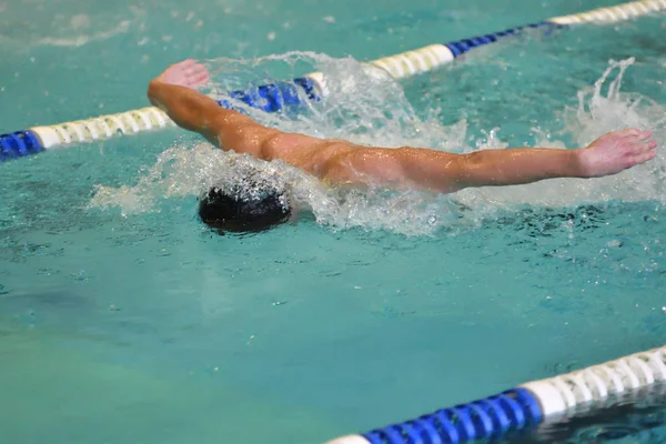 오렌부르크, 러시아-13 11 월 2016: 나비 스타일 수영에서 경쟁 하는 소년 — 스톡 사진