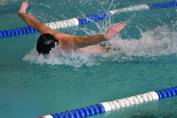 Orenburg, Russia - 13 November 2016: Boys compete in swimming Butterfly style — Stock Photo, Image