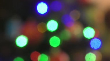 Çok renkli Noel ağacı ışıkları 