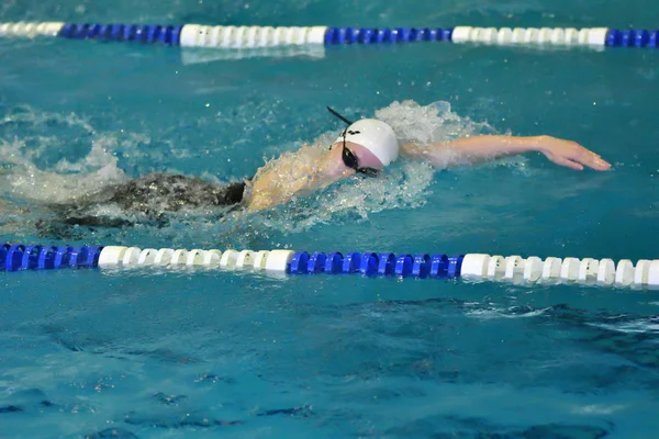 Orenburg, Russia - 13 November 2016: Girls compete in freestyle swimming — Stock Photo, Image