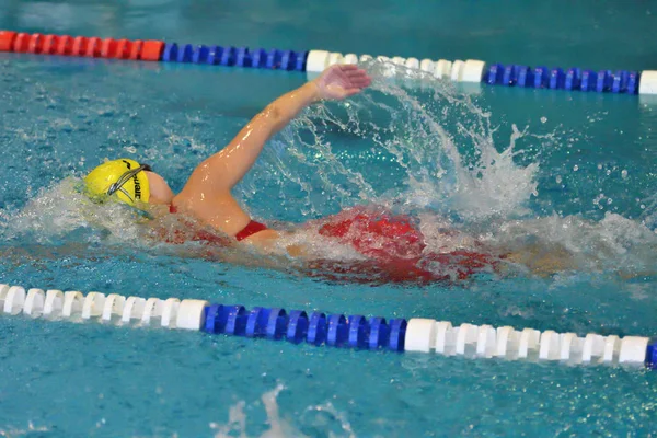 Orenburg, Russia - 13 November 2016: Girls compete in freestyle swimming — Stock Photo, Image