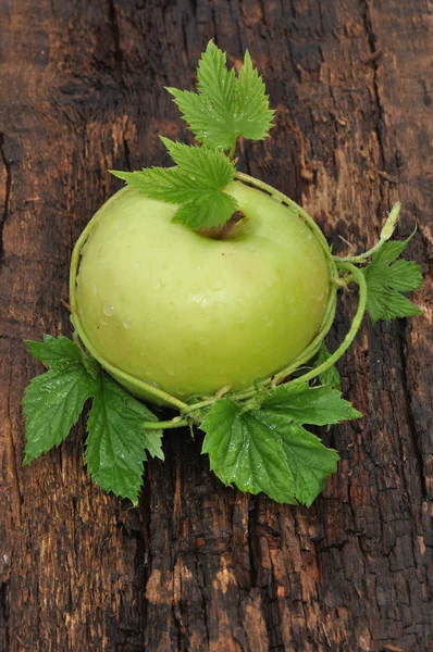 Ripe Apple green — Stock Photo, Image