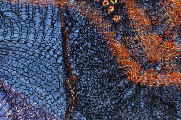 オレンブルク ダウニー ショールのパターン — ストック写真
