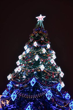 Noel ağacının altında Noel hediyeleri