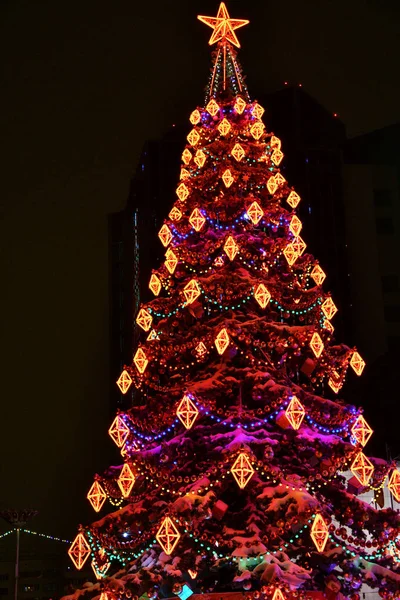 Noel ağacının altında Noel hediyeleri