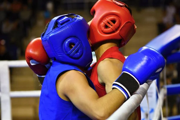 The duel of two boxers — Stock Photo, Image