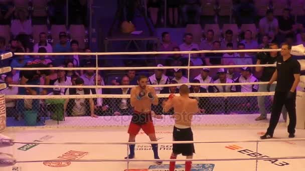 Orenburg, Rusland - 27 mei 2016: de strijders concurreren in mixed martial arts — Stockvideo