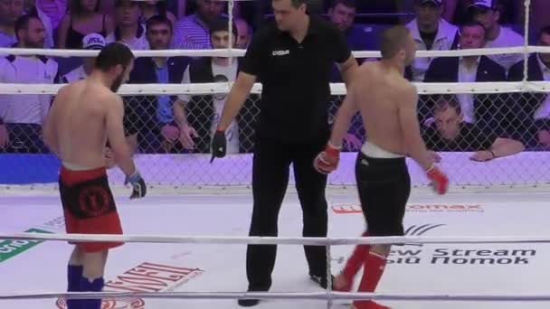 Orenburg, Rusia - 27 de mayo de 2016: Los combatientes compiten en artes marciales mixtas — Vídeos de Stock