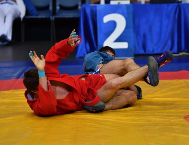 Orenburg, Rusya Federasyonu - 29 Ekim 2016: çocuklar yarışmalar Sambo