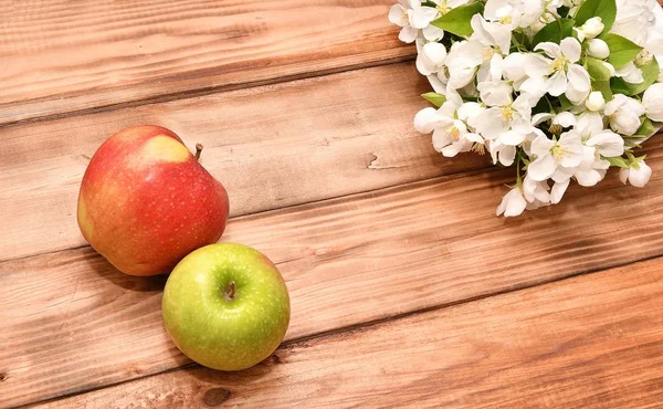 Apfelblüte und Apfel — Stockfoto