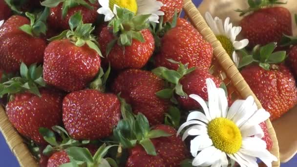 Erdbeere und Blumen Gänseblümchen — Stockvideo