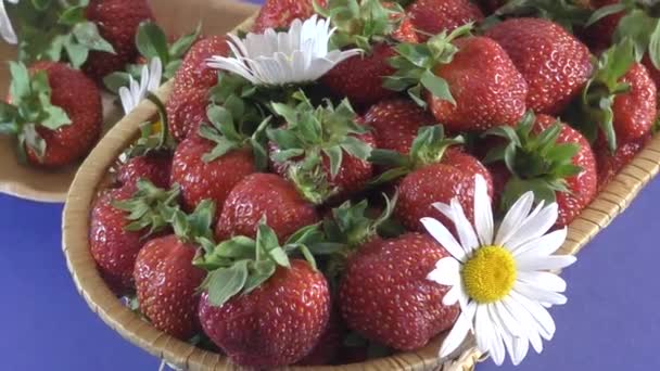 Erdbeere und Blumen Gänseblümchen — Stockvideo