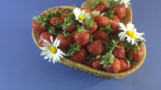 Strawberry and flower daisies — Stock Video