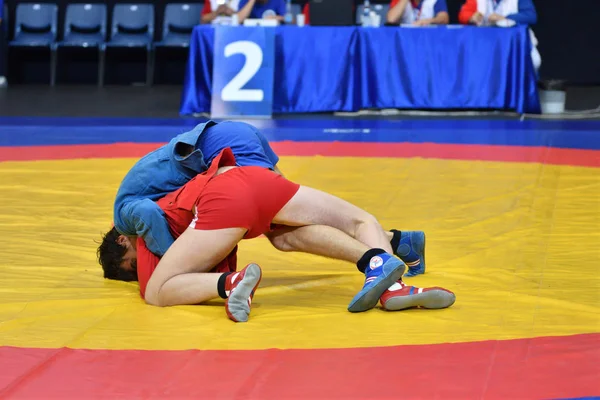 Orenburg, russland - 29. oktober 2016: sambo-wettkämpfe für Jungen — Stockfoto