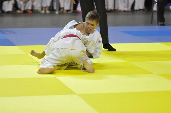 Orenburg, Rusia - 16 de abril de 2016: Los niños compiten en Judo — Foto de Stock