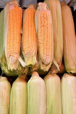 Olgun Mısır çarşı satılan