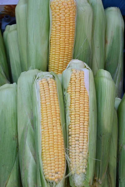 Ripe corn is sold at the Bazaar — Stock Photo, Image