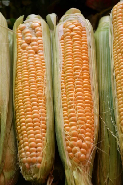 Ripe corn is sold at the Bazaar — Stock Photo, Image