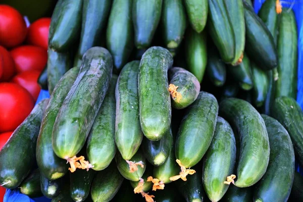 Fresh vegetables and herbs are sold at the Bazaar — Stock Photo, Image