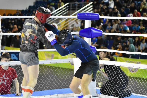 Orenburg, Rusia - 18 de febrero de 2017 año: Los combatientes compiten en artes marciales mixtas —  Fotos de Stock