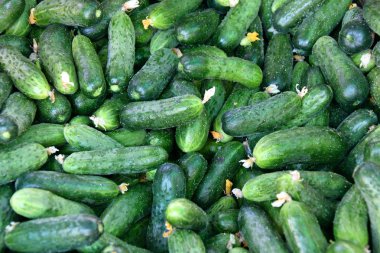 Çarşı içinde satılan taze salatalık