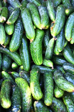 Çarşı içinde satılan taze salatalık