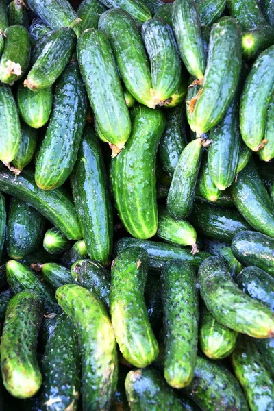 Çarşı içinde satılan taze salatalık