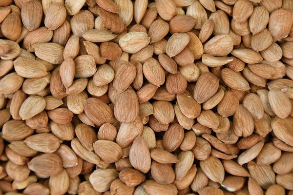 Dried almond kernel — Stock Photo, Image