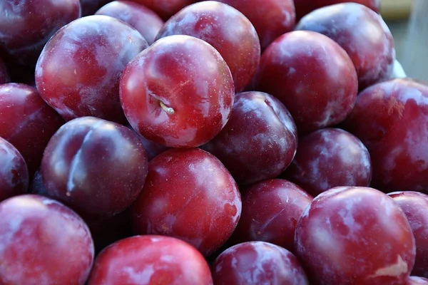 Fresh ripe plum — Stock Photo, Image
