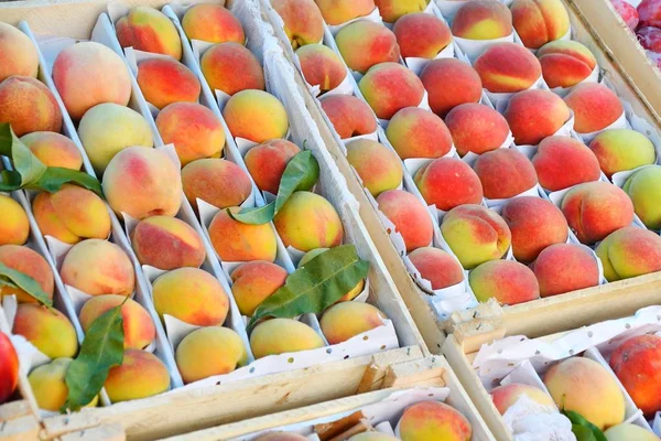 Свежие и спелые персики — стоковое фото
