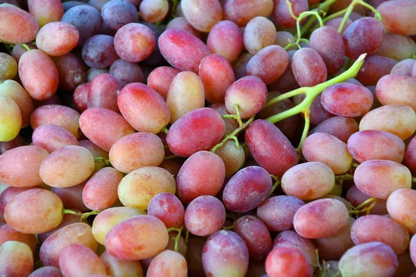 Uvas frescas e maduras — Fotografia de Stock