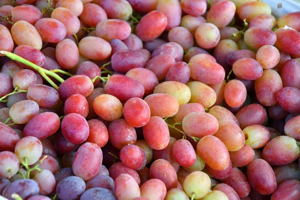 Uvas frescas e maduras — Fotografia de Stock