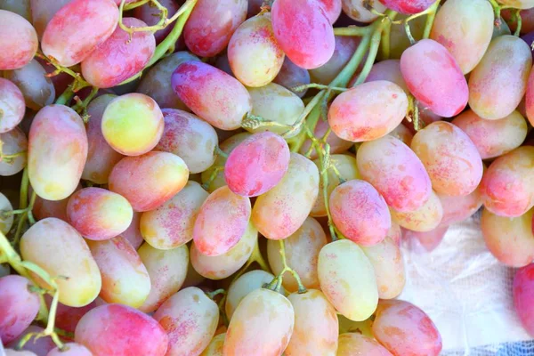 Fresh and ripe grapes — Stock Photo, Image