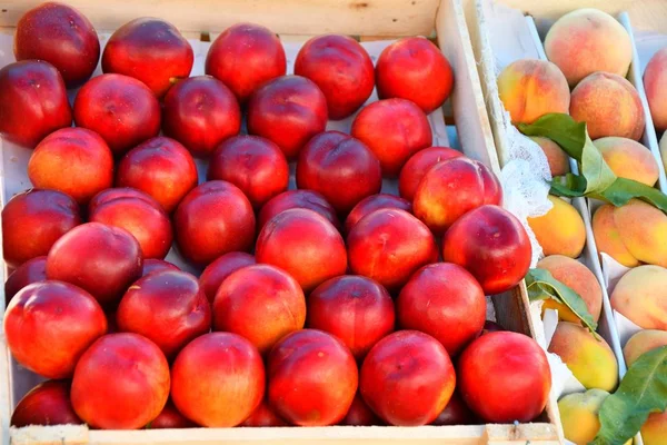 Nectarinas frescas y maduras —  Fotos de Stock