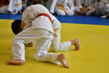 Orenburg, Rusya Federasyonu - 05 Kasım 2016: Boys rekabet Judo