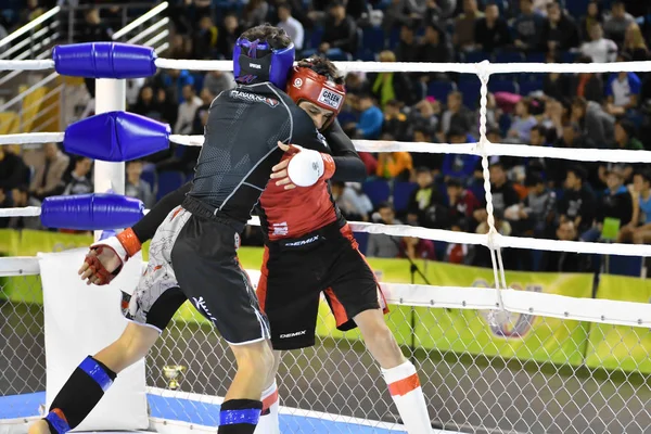 Orenburg, Rusya Federasyonu - 18 Şubat 2017 yıl: karışık dövüş sanatları savaşçılar rekabet