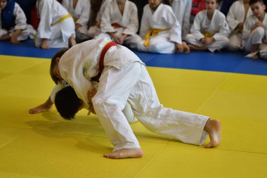 Orenburg, Rusya Federasyonu - 05 Kasım 2016: Boys rekabet Judo